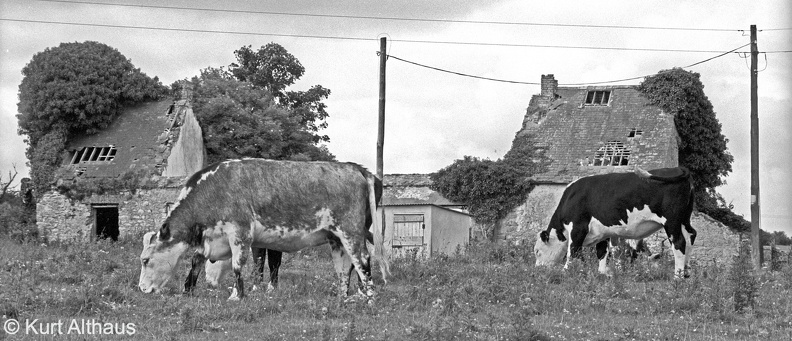 Kiltoom Roscommon 1978 64 34